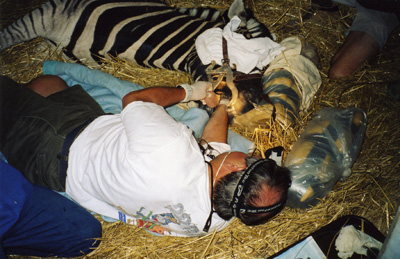 Dr. John Scheels - Exotic Animal Dentistry