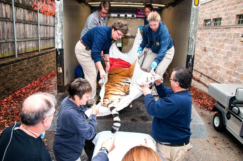 Dr. John Scheels - Exotic Animal Dentistry