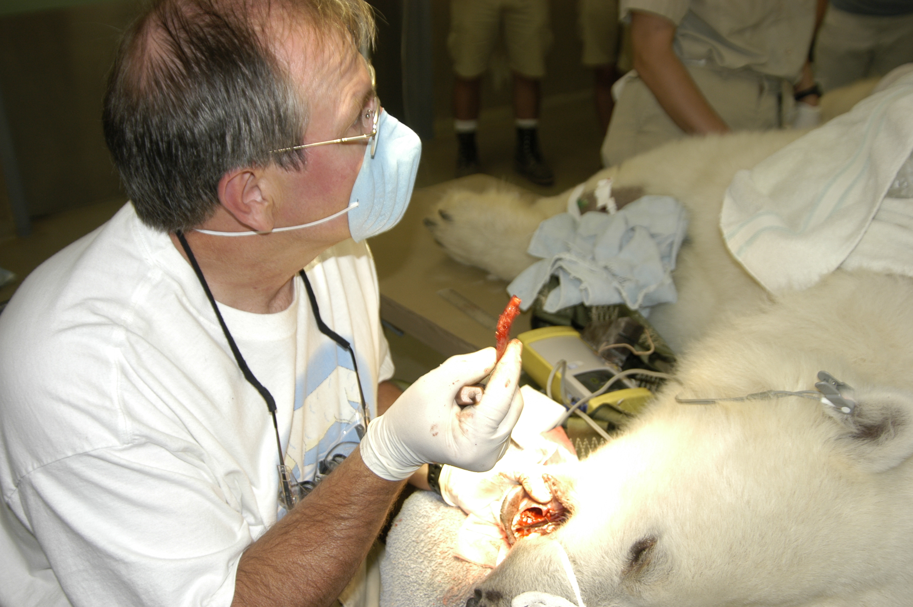 Dr. John Scheels - Exotic Animal Dentistry